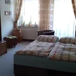 Timm Проживание в семье